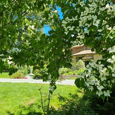 Du Petit Moulin *