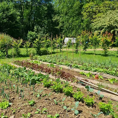 Hébergement de vacances Du Petit Moulin Réaumur