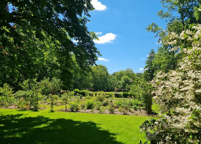 Holiday home Du Petit Moulin *