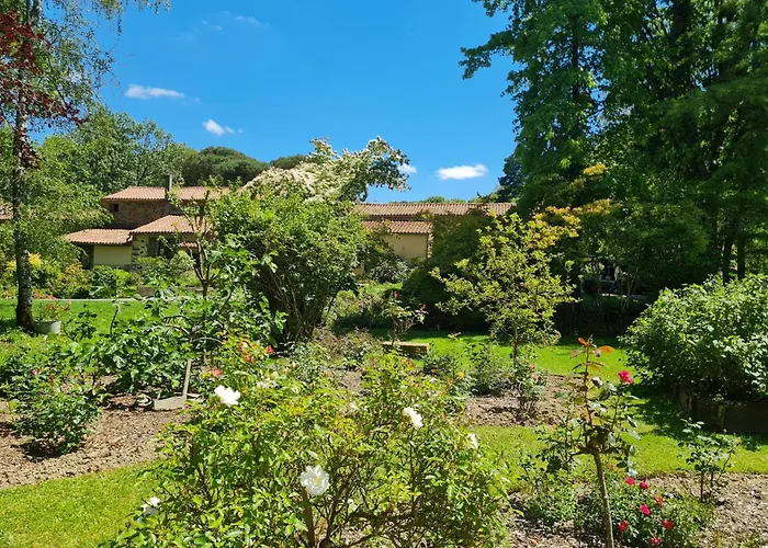 Holiday home Du Petit Moulin *