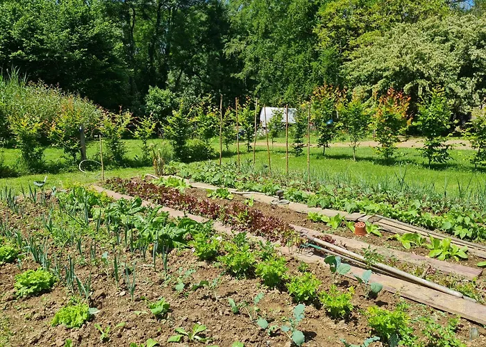 Holiday home Du Petit Moulin Reaumur